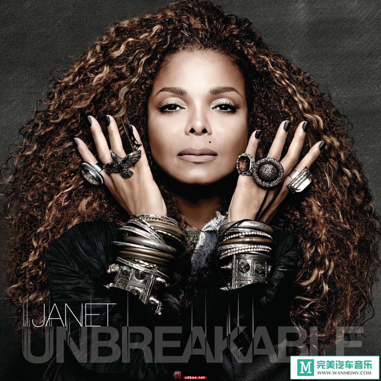 无损音乐 英文曲-珍妮杰克逊：Janet Jackson《Unbreakable》2015豪华版/FLAC/FLAC/BD(1)