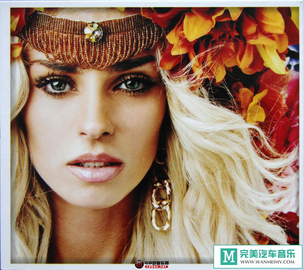 无损音乐 英文曲-流行.舞曲：VA《Mega Hits 2015》2CD/2015/FLAC/BD(1)