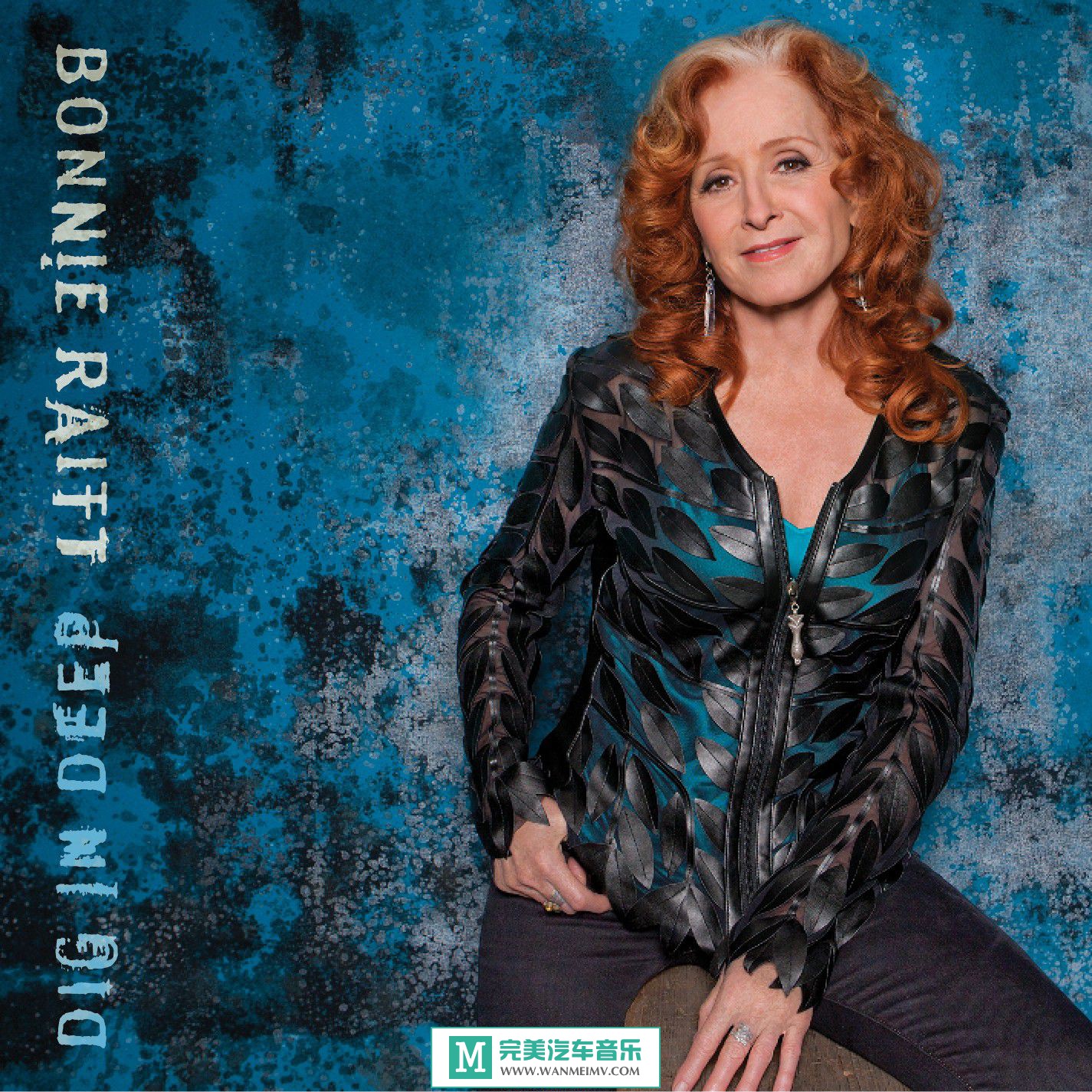 无损音乐 英文曲-Bonnie Raitt《Dig in Deep》2016/FLAC/BD(1)