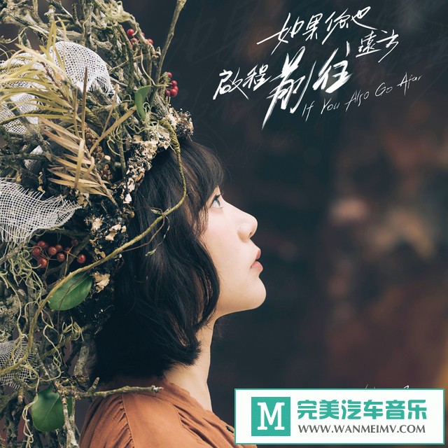 320K MP3 中文曲-铁阳《如果你也启程前往远方-前往》[320K/MP3/2020/CT](1)