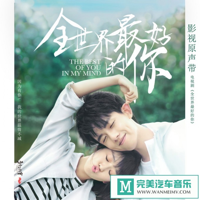 320K MP3 中文曲-群星《全世界最好的你 电视剧影视原声带》[320K/MP3/2020/CT](1)