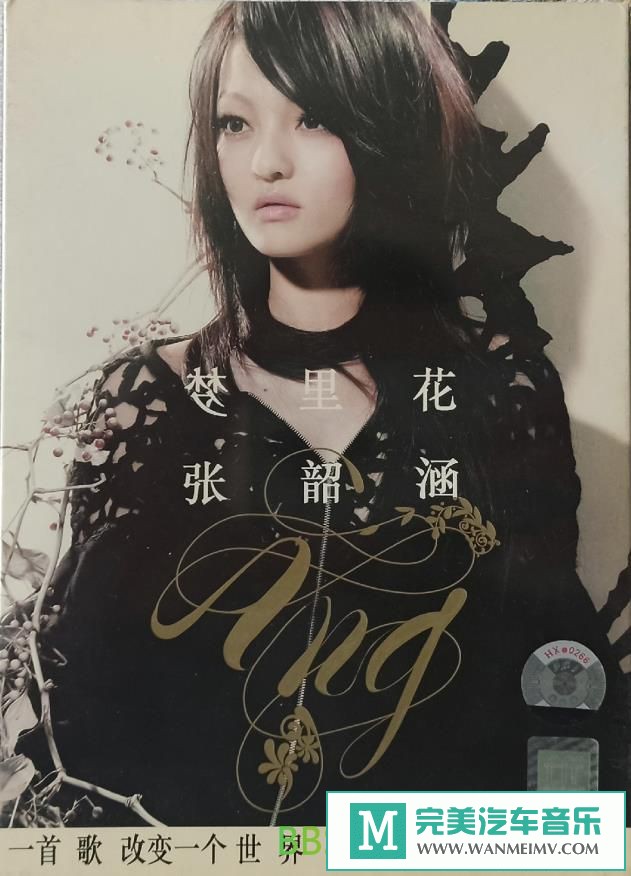 无损音乐 中文曲[VIP专区]-张韶涵《梦里花》[2006/WAV+CUE/BD](1)