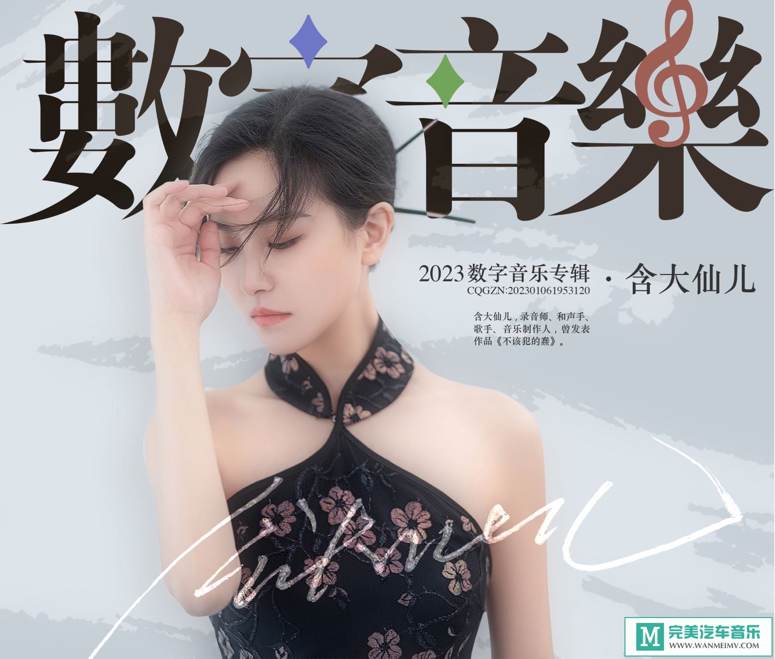 无损音乐 中文曲[VIP专区]-含大仙儿《2023数字音乐专辑》[FLAC+CUE/CT](1)