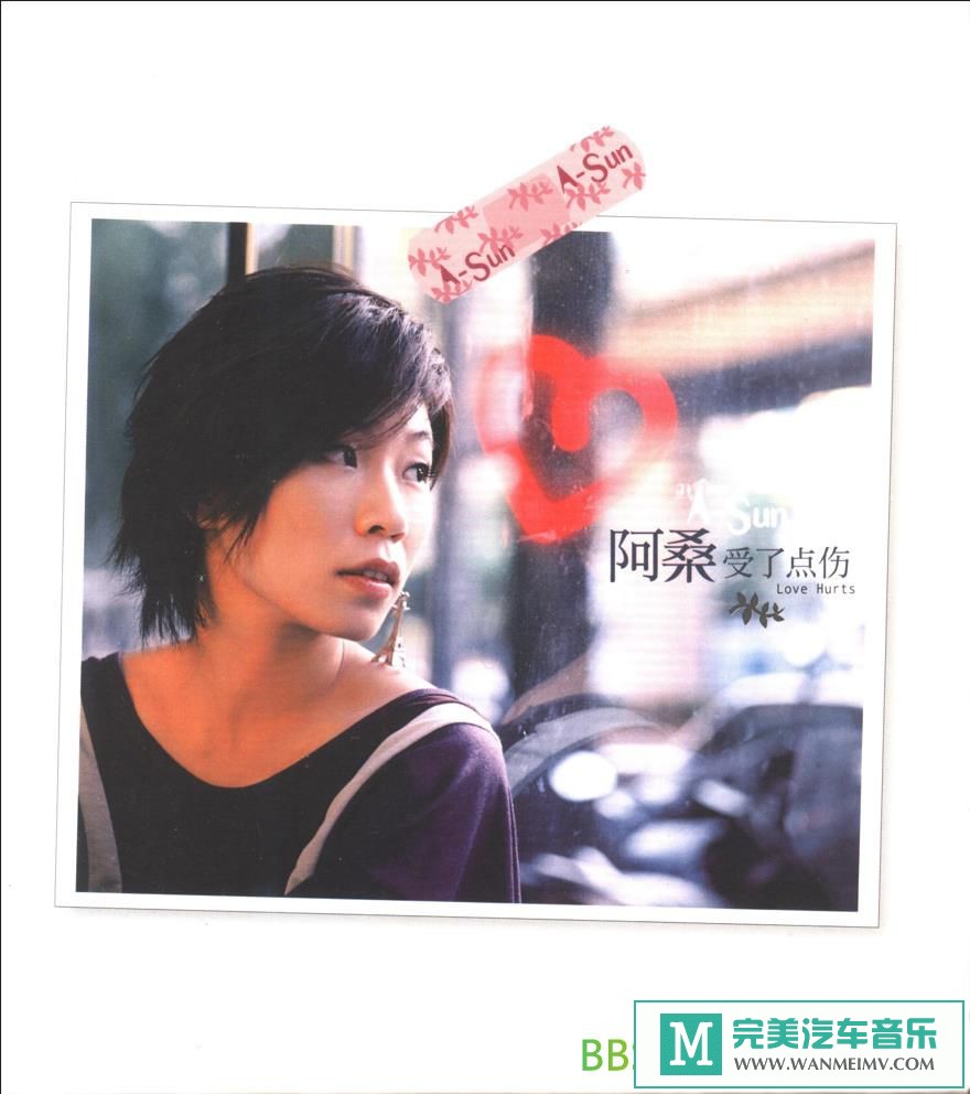 无损音乐 中文曲[VIP专区]-阿桑《受了点伤》[2003/WAV+CUE/BD](1)